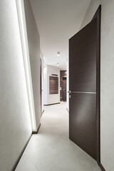Corridor in the hallway with doors finished with dark veneer