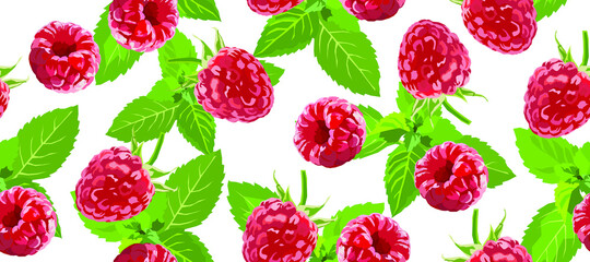 Raspberryand mint vector seamless pattern. Berry background