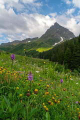 Obraz premium Sommerurlaub in den Bergen, 