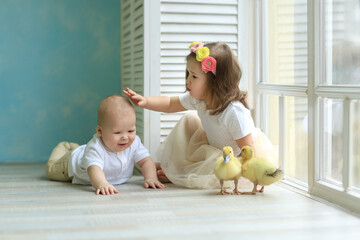Funny children play with a small duckling (chicken, goose). Children and animals . Easter