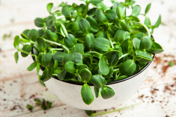Organic raw green food. Different types of micro green dill sprouts. Vegan salad from microgreens.