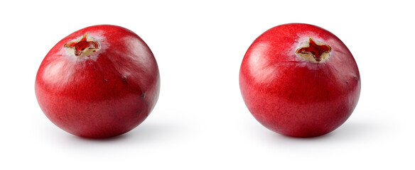 Cranberry isolated. Cranberries on white background. Cranberry set with clipping path.  Full depth of field.