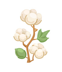 Beautiful branch of cotton isolated on white background, natural white fluffy fiber on a stem with leaves. Flat icon. Vector illustration.