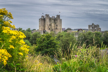 Old, ruined Trim Castle from 12th century with green trees, flowers and dark moody sky in Trim village, County Meath, Ireland