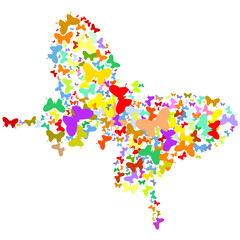 colorful butterflies love to fly