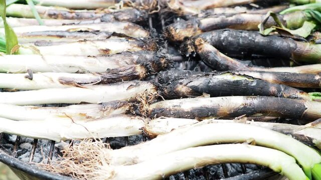 catalan calcots on thebarbecue 