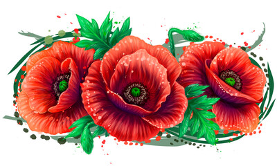 Red poppy. Graphic, color, vector drawing of a poppy in watercolor style on a white background. Digital vector graphics. Individual layers