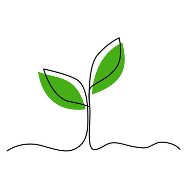 Single continuous line art growing plant leaves. Environmental protection concept, eco natural farm concept, Earth day, organic food, vegan products. Sketch outline drawing vector illustration