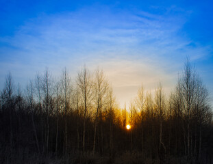 One of the most beautiful sunrises in the forest.