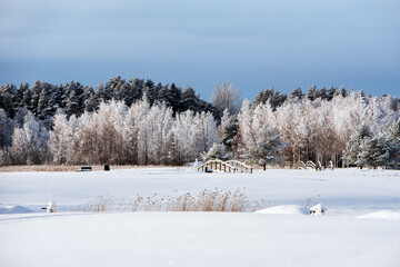 Beautiful snowy winter landscape, trees covered with frost.