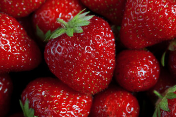 many fresh big strawberries super macro photo background