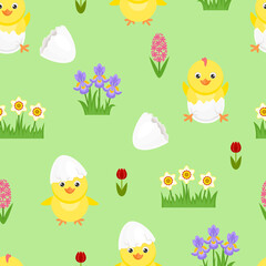 Seamless pattern with cute chicks hatched from an egg. Easter festive background. Vector cartoon cracked eggs, spring flowers and funny yellow chicks. Flat illustration.