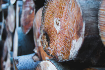 Collection of chopped wood