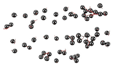 Elderberries isolated on a white background, top view. Healing product.