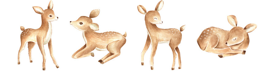 Bbay deers watercolor animals woodland