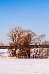 Winter landscape on a sunny frosty day.