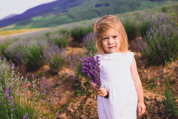 Lavender as a means of pacifying the child