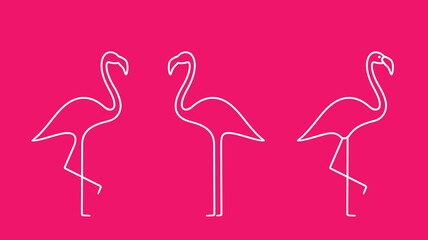 Flamingo outline. Isolated flamingo on white background © oleg7799