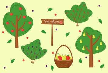 Set of garden trees and shrubs. Fruit trees in the garden: apples and pears. Harvest season (summer, autumn). Fruit basket. Shrubs: black and red currants. Sign "Garden". Flat vector illustration
