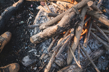 Fireplace in nature with wood and embers ready for grilling