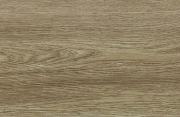 Wood texture background. Rough Wooden Surface with natural pattern