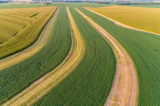 Terraced soybean field, Marion County, Illinois. © Danita Delimont