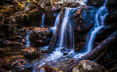 Fototapeta premium peaceful streams in Dark Hallow Falls trails in Shenandoah national park in Virginia during autumn.