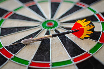 Target and darts for playing darts.
