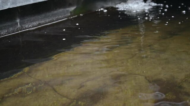 Fish pond panning shot view showing clear water and water fall clay jug circulation system. Shot in tilting camera upside