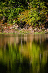 Fototapeta na wymiar Forest reflecting in lake water