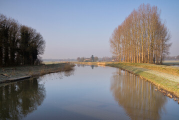 Obraz premium Trees along a river