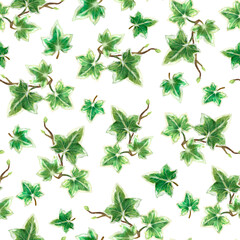 Watercolor seamless pattern, with ivy plant