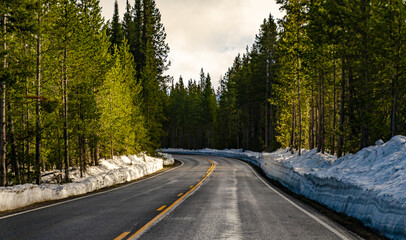 Obraz premium Asphalt road to Yellowstone National Park cleared of snow in early spring, US