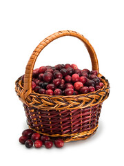 Fototapeta na wymiar Wattles basket from rod filled with cranberry berries