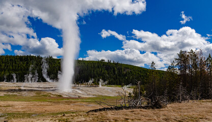 Geyser Old Faithful erupts in Yellowstone National Park in Wyoming, US