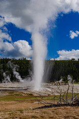 Geyser Old Faithful erupts in Yellowstone National Park in Wyoming, US
