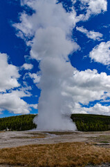 Geyser Old Faithful erupts in Yellowstone National Park in Wyoming, US