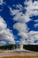 Geyser Old Faithful erupts in Yellowstone National Park in Wyoming, US