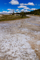 Algae-bacterial mats. Hot thermal spring, hot pool in the Yellowstone NP. Wyoming, US