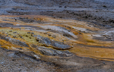 Algae-bacterial mats. Hot thermal spring, hot pool in the Yellowstone NP. Wyoming, US