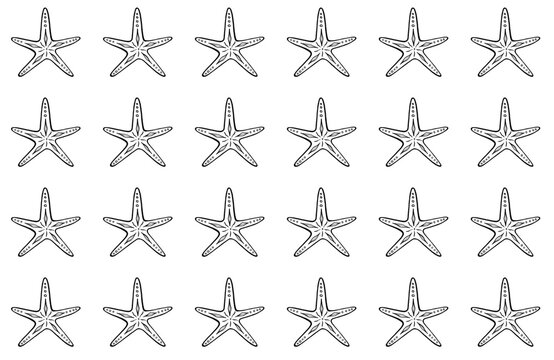 Seamless black and white line art pattern, line drawing of a starfish.