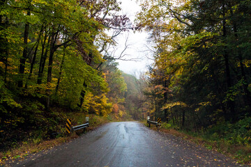 road trip on open road and highway traversing vibrant autumn woods