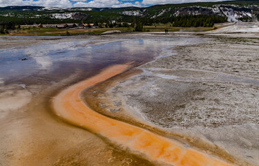 Algae-bacterial mats. Hot thermal spring, hot pool in the Yellowstone NP