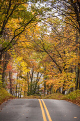 Fototapeta na wymiar road trip on open road and highway traversing vibrant autumn woods