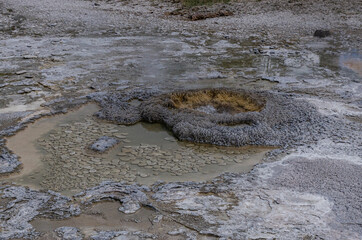 Boiling water bubbler Geyser. Active geyser with major eruptions. Yellowstone NP, Wyoming, US