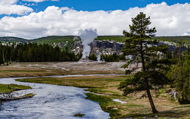 River with warm water in the valley of the Yellowstone NP, USA