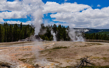 Boiling water bubbler Geyser. Active geyser with major eruptions. Yellowstone NP, Wyoming, US