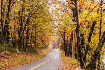 Naklejka na ściany i meble road trip on open road and highway traversing vibrant autumn woods