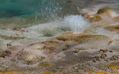 Boiling water bubbler Geyser. Active geyser with major eruptions. Yellowstone NP, Wyoming, US