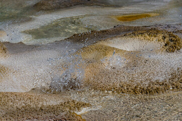 Boiling water bubbler Geyser. Active geyser with major eruptions. Yellowstone NP, Wyoming, US